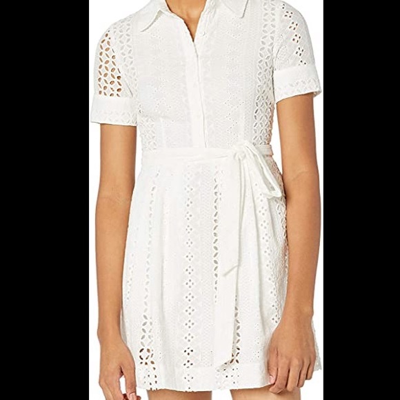 milly cleo shirt dress Cleo Embroidered Cover-Up Mini Dress in White/Green